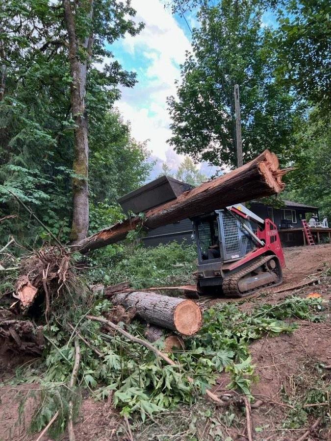 Skid steer clearing a large fallen tree during a land-clearing job in Greater Victoria, BC